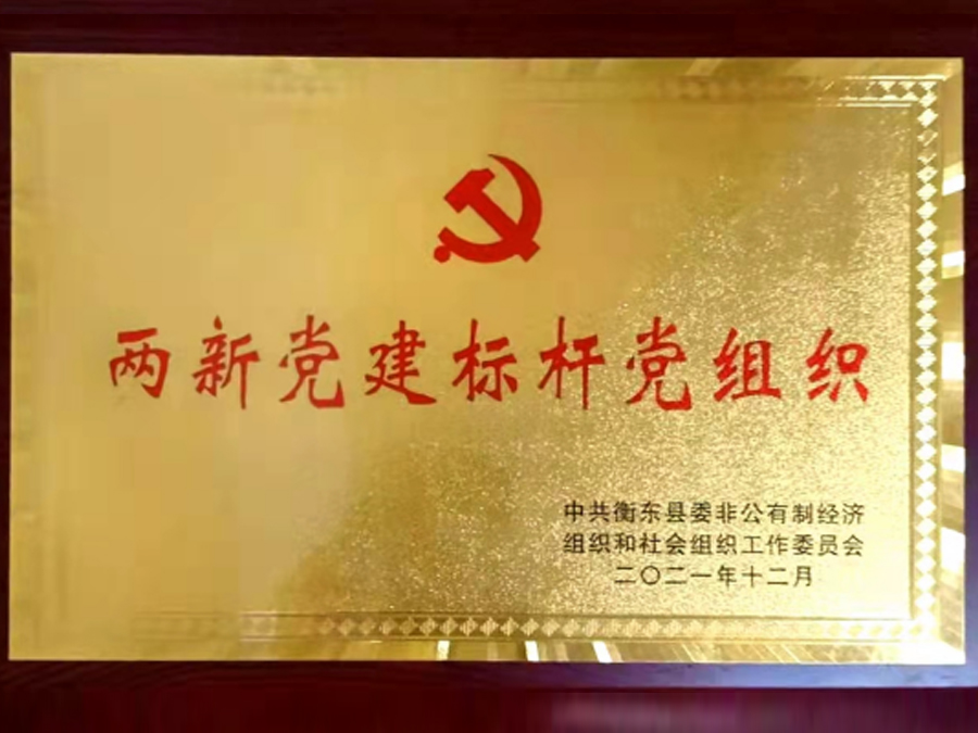 黨建活動--衡東縣兩新黨建標桿創(chuàng)建 黨建活動--衡東縣兩新黨建標桿創(chuàng)建